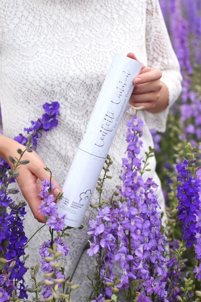 Biodegradable Confetti Cannon Shooter x 2 Real Petal Dried Etsy