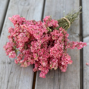 Hellrosa Trockenblumenstrauß | Britische Trockenblumen, Blumenschmuck | Florist, DIY, Erstellen Sie Ihren eigenen Blumenstrauß | Rosa Trockenblumen