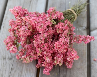 Ramo de flores secas de color rosa brillante / flores secas británicas, arreglos florales / floristería, bricolaje, cree su propio ramo / flores secas de color rosa