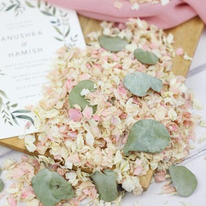 Coriandoli biodegradabili per matrimonio alla menta piperita e rosa, coriandoli da lancio / senza coloranti / 1-10 litri (10-120 manciate) Sage Green Wedding