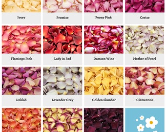 Freeze Dried Rose Petals | Hydrangea Petals | Biodegradable Real Rose Petals | Proposal Petals | Dried Flower Petals | Wedding Petals