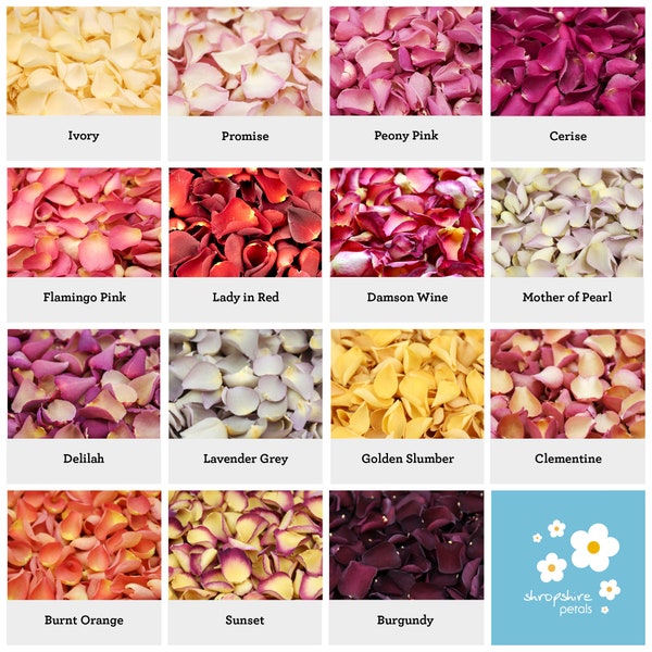 Freeze Dried Rose Petals | Hydrangea Petals | Biodegradable Real Rose Petals | Proposal Petals | Dried Flower Petals | Wedding Petals