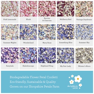 Eco-friendly Biodegradable Wedding Petal Confetti | Sustainable Dried Real Flower Confetti | British Grown, Vegan Friendly, Wildflower