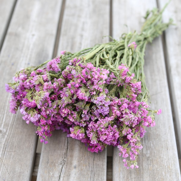 Pink Statice Dried Flower Bunch | Fuchsia Sea Lavender Bouquet | Dried Floral Arrangements, Event, Wedding, Home Decor