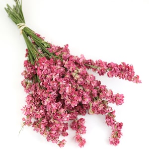Dark Pink Dried Flower Bunch | Natural Floral Arrangement