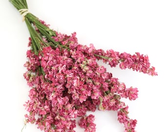 Mazzo di fiori secchi rosa scuro / Fiori magenta intensi coltivati in Gran Bretagna / Composizioni floreali, fiorista, fai da te, crea il tuo bouquet