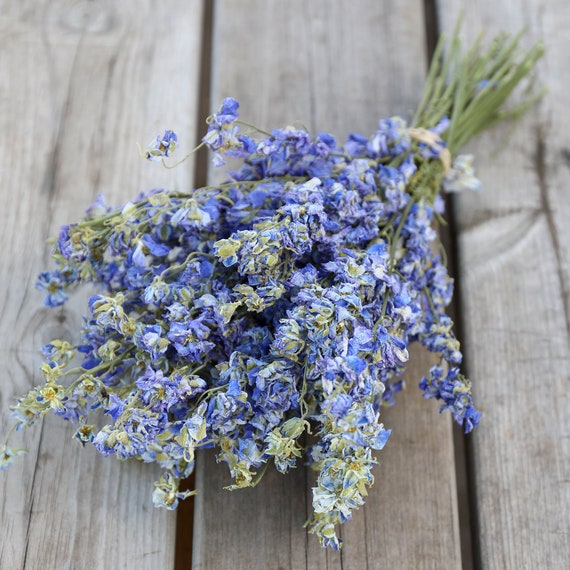 Light Blue Dried Flower Bunch | Dried Flowers, Floral Arrangements |  Florist, DIY, Create your Own Bouquet