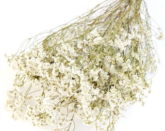 White Dried Limonium Bunch | Natural Statice, Rustic Floral Decor