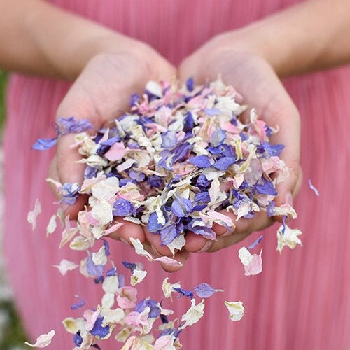 50 Guests Biodegradable Wedding Confetti Red Ivory Rose Mix Petals Dried Flower 