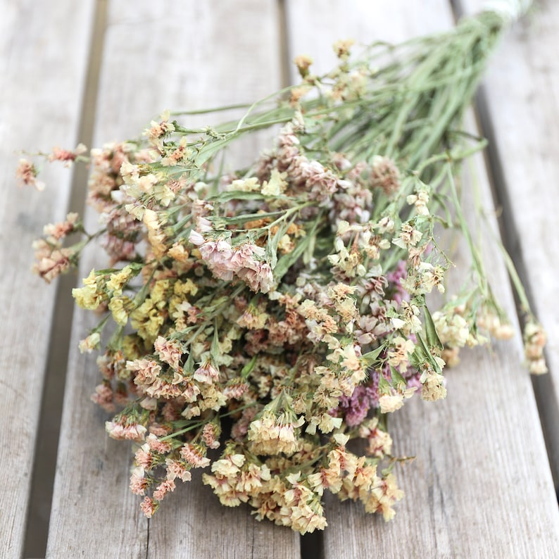 Apricot Statice Dried Flower Bunch Peach Sea Lavender Bouquet Dried Floral Arrangements, Event, Wedding, Home Decor image 1