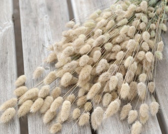 Natural Lagurus Dried Flower Bunch | 80-100 Stem Bunny Tails | Beige Boho Decor | Dried Grass Arrangements | Home Decor Florals