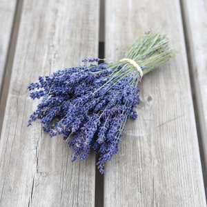 Dried Lavender Bunch | Hand Picked British Grown Dried Lavender | Beautiful Long-lasting Dried Lavender Bundle | Home Decor, thoughtful gift