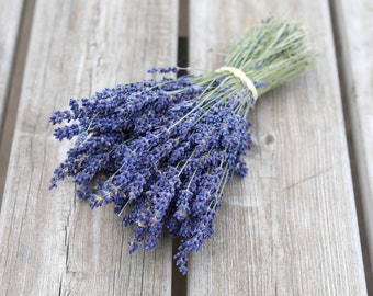 Dried Lavender Bunch | Hand Picked British Grown Dried Lavender | Beautiful Long-lasting Dried Lavender Bundle | Home Decor, thoughtful gift