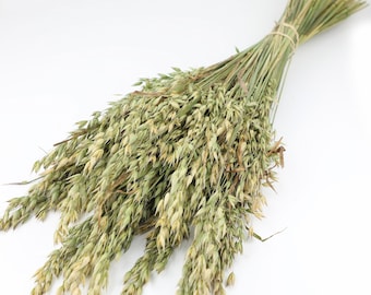 Natural Dried Oat Bunch | Shropshire Farm Cottagecore Decor