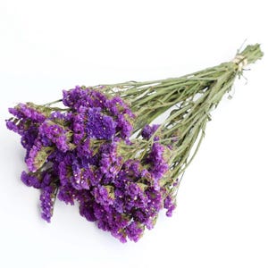 May include: A bundle of dried purple statice flowers with green stems, tied together with a natural twine. The flowers are a vibrant purple color, and the stems are a muted green. The arrangement is set against a white background.