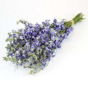 Hellblaue Trockenblumenstrauß | Britisch gewachsene Blumenblüte | Florist, Gestecke, DIY, erstellen Sie Ihren eigenen Blumenstrauß