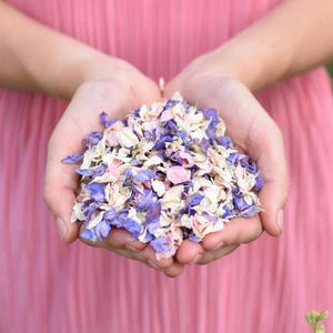 Coriandoli biodegradabili pastello per matrimonio, petali veri, coriandoli di fiori secchi / 1-10 litri (10-120 manciate)