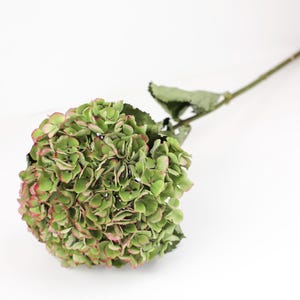 May include: A single artificial hydrangea flower with a large, round bloom. The flower is mainly green with pink edges on the petals. The stem and leaves are also green, set against a white background. This faux floral arrangement is ideal for home decor.