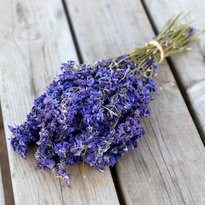 Dark Blue/Purple Dried Flower Bunch | Dried Flowers, Floral Arrangements | Florist, DIY, Create your Own Bouquet