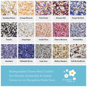 Biodegradable Wedding Confetti Eco-Friendly Sustainable Wedding Premium British Real Dried Flower Petals 1-10 Litres 10-120 Handfuls image 5