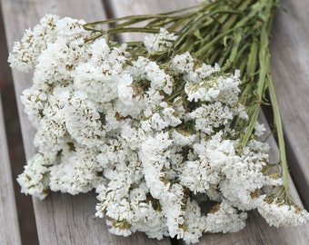 White Statice Dried Flower Bunch | White Sea Lavender Bouquet | Dried Floral Arrangements, Event, Wedding, Home Decor