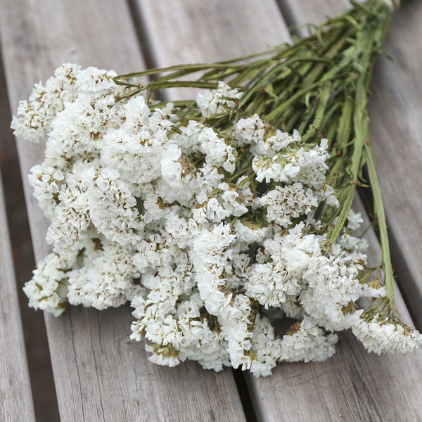 White Statice Dried Flower Bunch | White Sea Lavender Bouquet | Dried Floral Arrangements, Event, Wedding, Home Decor