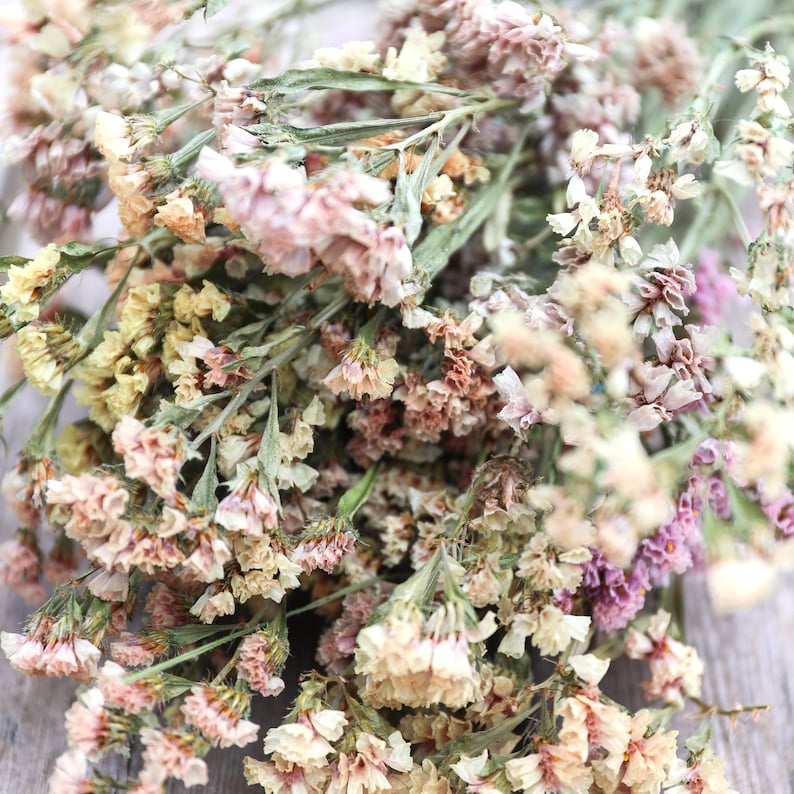 Apricot Statice Dried Flower Bunch Peach Sea Lavender Bouquet Dried Floral Arrangements, Event, Wedding, Home Decor image 2