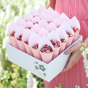Wedding Confetti Cone Box | 25 Confetti Cones & Biodegradable Wedding Confetti in Display Box | Eco-friendly Wedding