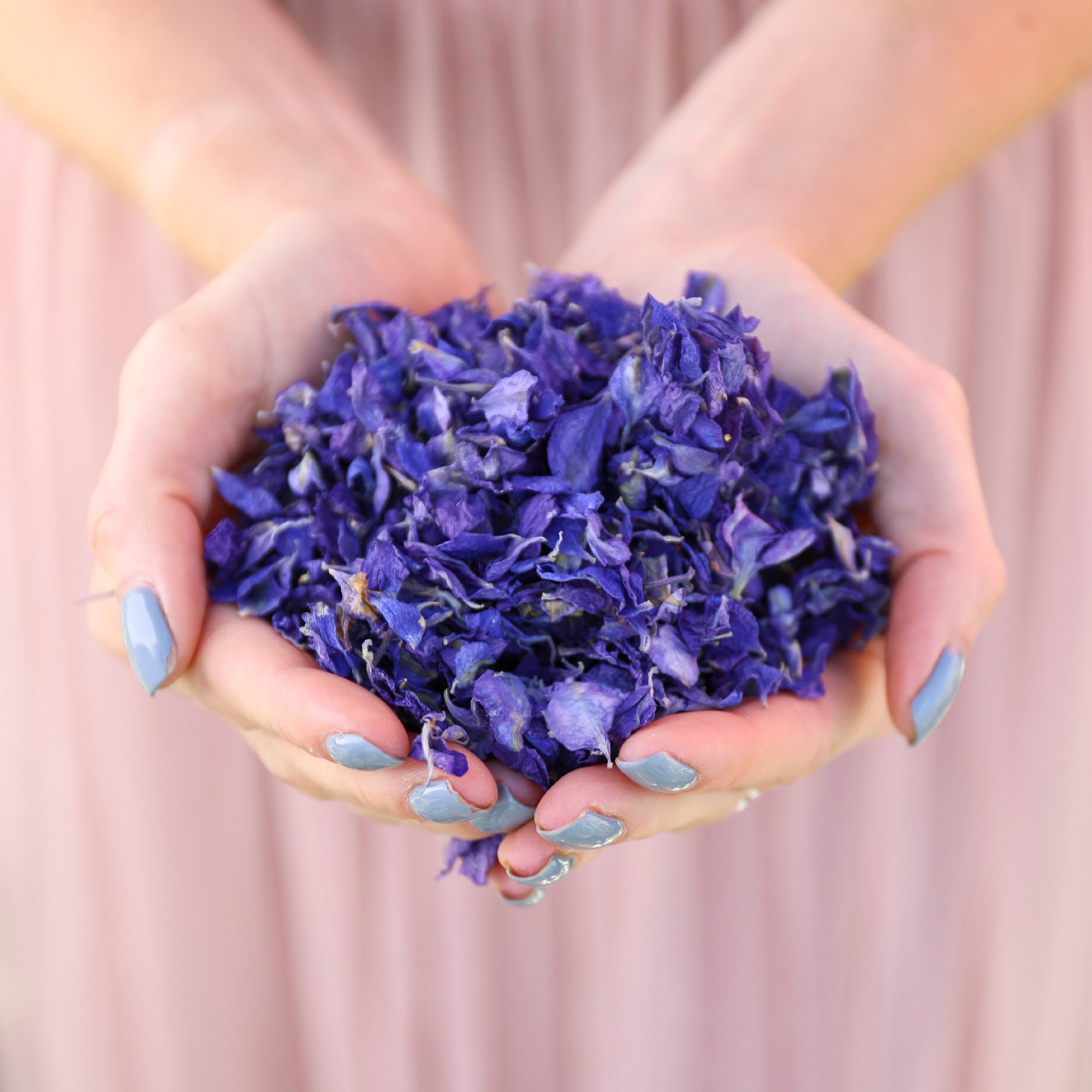 Biodegradable Blue Wedding Confetti Dried Flower Confetti Etsy UK