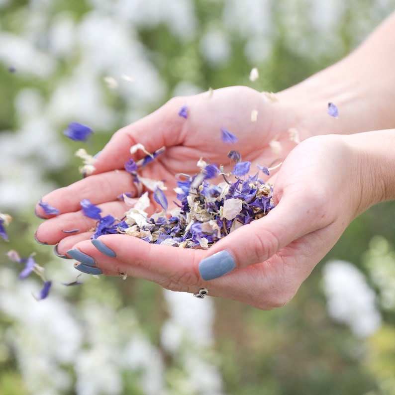 Biodegradable Wedding Confetti Eco-Friendly Sustainable Wedding Premium British Real Dried Flower Petals 1-10 Litres 10-120 Handfuls image 3