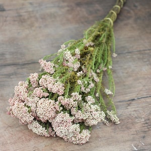 Rosa Reisblume | Getrocknete Blumenstrauß | Basteln, Sträuße, Gestecke | Home Decor, Geschenk