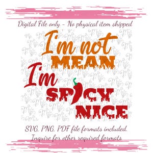 I'm Not Mean I'm Spicy Nice Svg, grappig citaat Svg, grappig volwassen Svg, sarcasme Png, Snarky Svg, sarcastisch Svg, grappig ontwerp png, trendy png