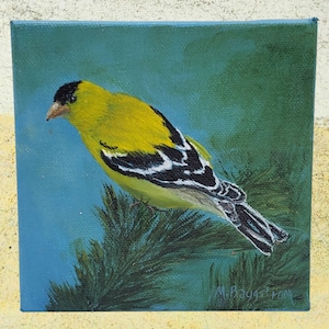 Yellow Goldfinch painting, original painting of male Yellow Finch, small painting 5x5 inch, state bird art home decor by Mary Ann Baggstrom