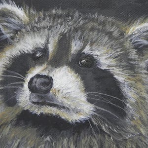 Raccoon painting, original acrylic 5x7 inch canvas raccoon portrait wildlife home decor by Blue Ridge Artist Mary Ann Baggstrom