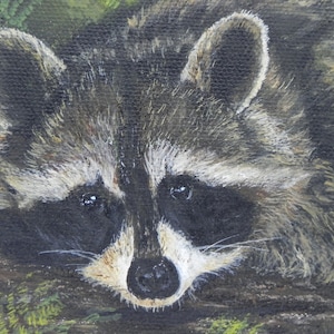 Raccoon small painting, original raccoon painting in acrylic, 5 x 5 inch miniature wildlife art home decor by Mary Ann Baggstrom