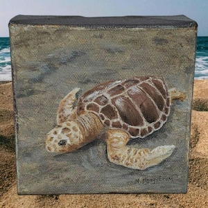 May include: A square canvas painting depicts a sea turtle on a sandy beach. The turtle has a brown shell with a detailed pattern, and its body is a light tan color. The background shows the ocean and sky. Signed by M. Baggstrom.