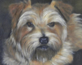 Tierportrait nach Wunsch: Realistisches Acrylbild, 20 x 20 cm, Haustierportrait, Verlust des Haustiers, Hundeportrait, Katzenportrait, Handgemaltes Haustier