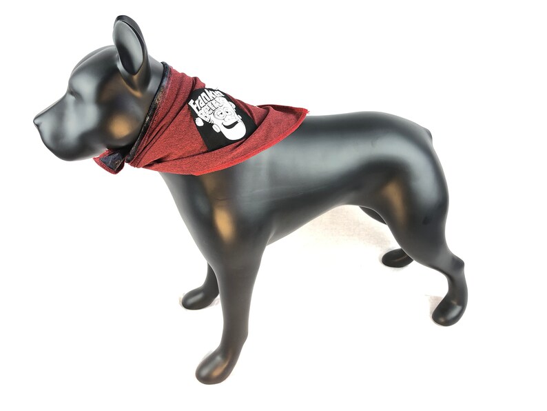 Belly Bands for dogs Racecar Belly Bands Flames Belly Bands