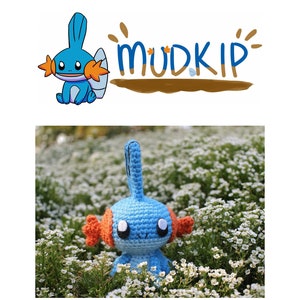 Mudkip // PATTERN