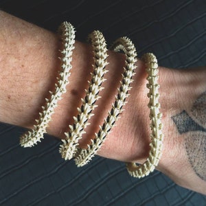 Peut inclure: Trois bracelets en os blanc avec des accents noirs port&eacute;s au poignet.