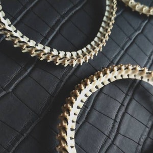 Peut inclure: Deux colliers en os sur une surface textur&eacute;e noire. Les colliers sont faits de petites pi&egrave;ces d'os blanches qui sont reli&eacute;es entre elles pour former un cercle. Les colliers sont pos&eacute;s &agrave; plat sur la surface.