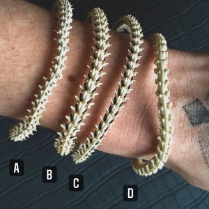 Peut inclure: Quatre bracelets en os blanc avec des accents noirs, &eacute;tiquet&eacute;s A, B, C et D. Les bracelets sont empil&eacute;s sur le poignet d'une personne.