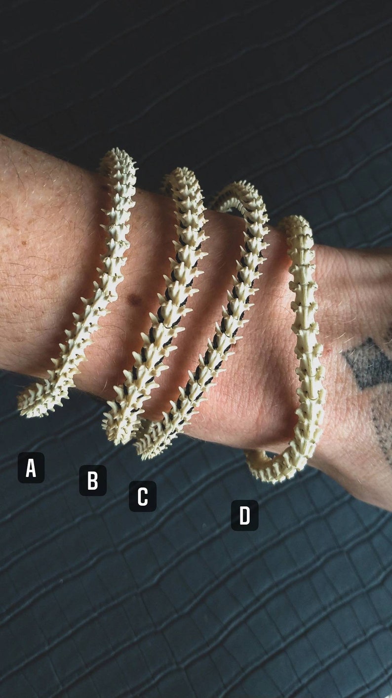 Peut inclure: Quatre bracelets en os blanc avec des accents noirs, &eacute;tiquet&eacute;s A, B, C et D. Les bracelets sont empil&eacute;s sur le poignet d'une personne.