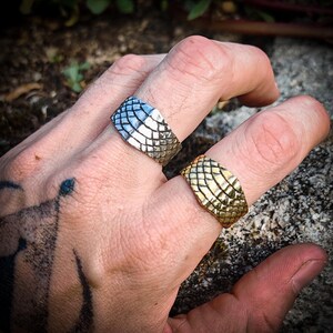 Peut inclure: Deux bagues, une argentée et une dorée, avec un motif en écailles, sont présentées sur une main. La bague argentée est à l'index, et la bague dorée est à l'annulaire. L'arrière-plan est flou.