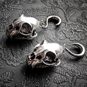 Peut inclure: Deux boucles d'oreilles argentées en forme de crâne de chat avec des crochets incurvés. Les boucles d'oreilles présentent des détails réalistes et sont posées sur un fond sombre et texturé. Bijoux pour modification corporelle.