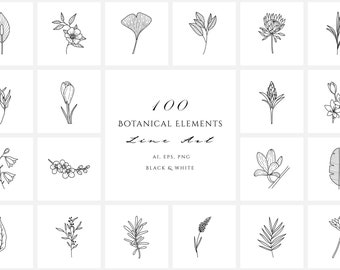 Hand drawn Flowers Set PNG Flowers Vector Floral ornament Botanical Clipart Wedding flowers plants  Flower icons Line illustration Outline