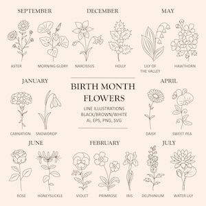 Set di fiori del mese di nascita/Fiori del mese di nascita PNG/Fiori del mese di nascita SVG/Illustrazioni di fiori/Clipart botaniche/Fiore di nascita/Disegno a tratteggio/Floreale