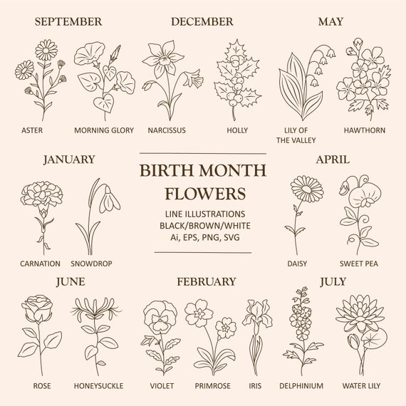 Birth month flower set/Birth month flowers PNG/Birthmonth flower SVG/Flower illustrations/Botanical clipart/Birth Flower/Line drawing/Floral