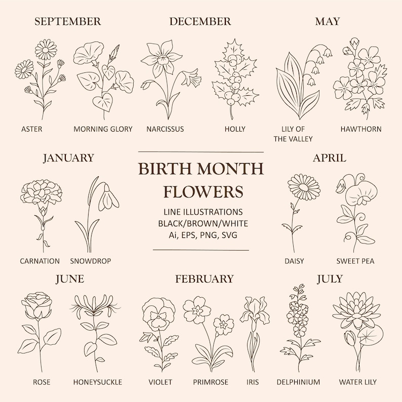 Birth month flower set/Birth month flowers PNG/Birthmonth flower SVG/Flower illustrations/Botanical clipart/Birth Flower/Line drawing/Floral image 1