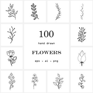 Botanical Clipart PNG Hand Drawn Flowers EPS Leaves Elements set Wedding Plant Foliage Collection Floral ornament Line illustration Outline